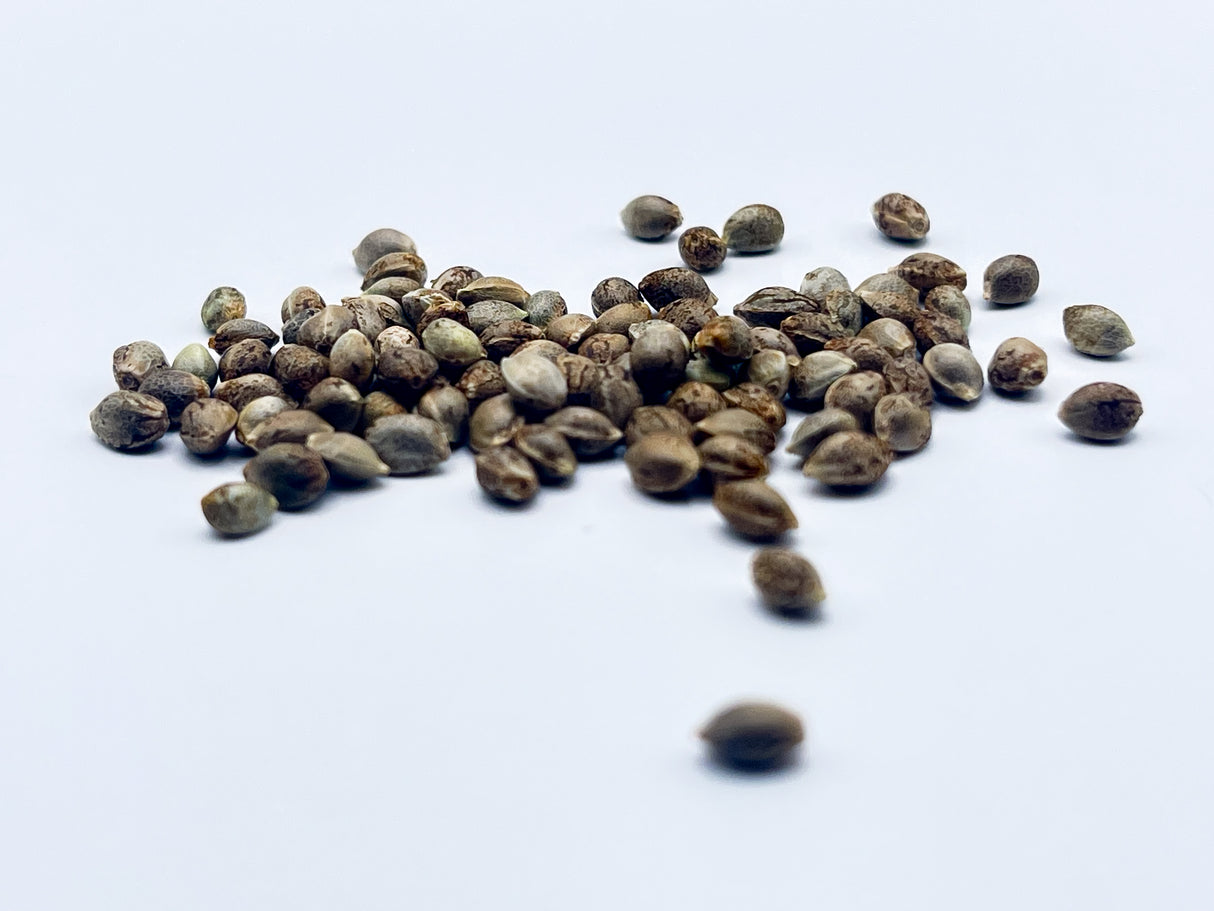 High 5 Seeds