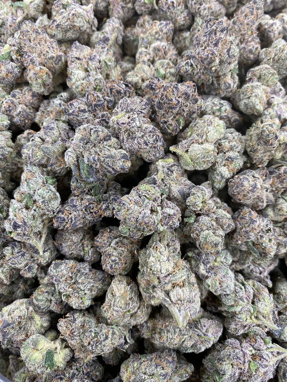 Lemon Cherry Guava