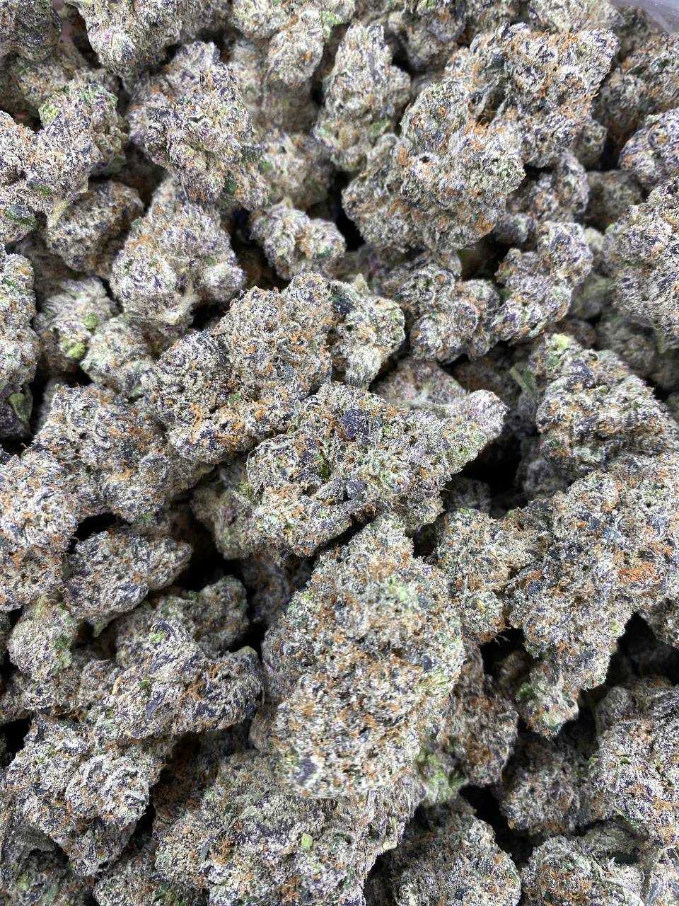 Purple Ghost