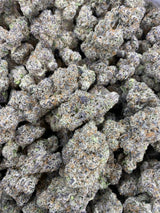 Purple Ghost