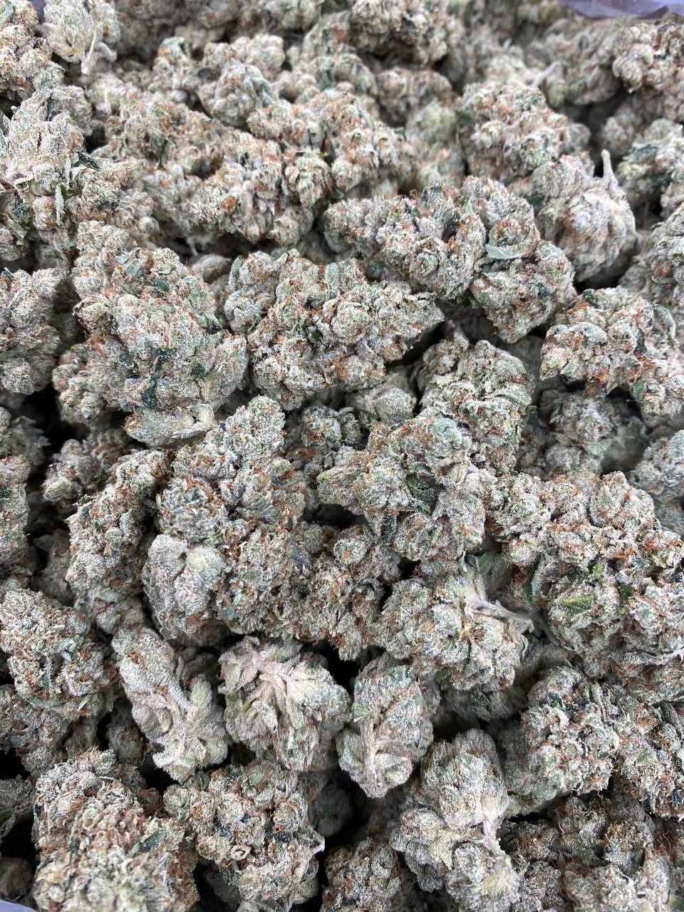 Skywalker OG