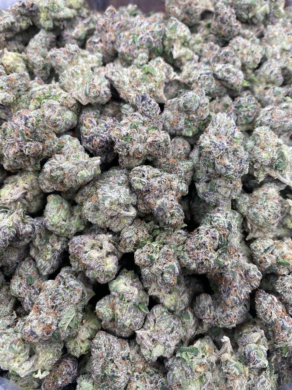 Watermelon Gumdrop
