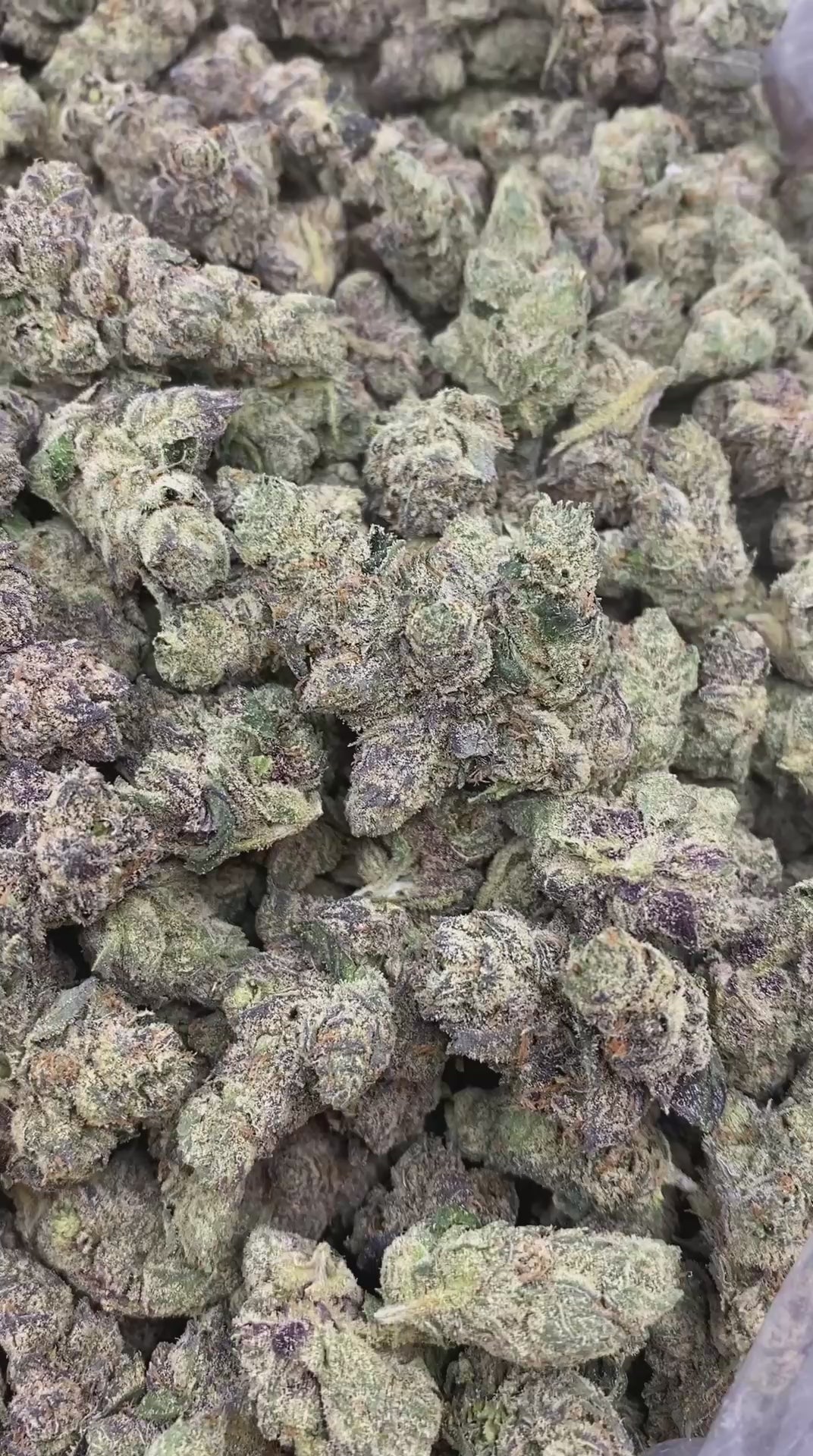 Platinum Candy