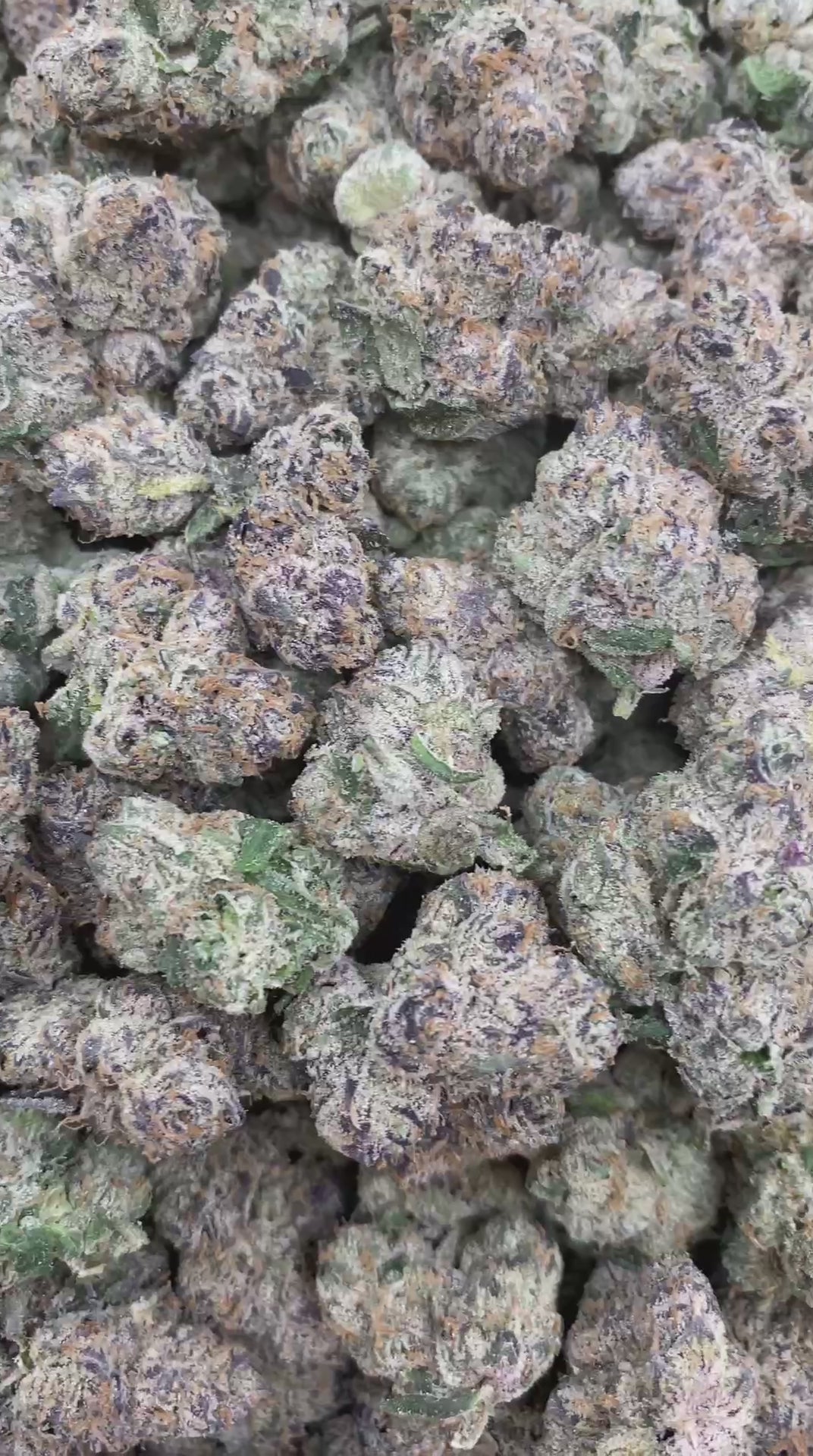 Grape Runtz