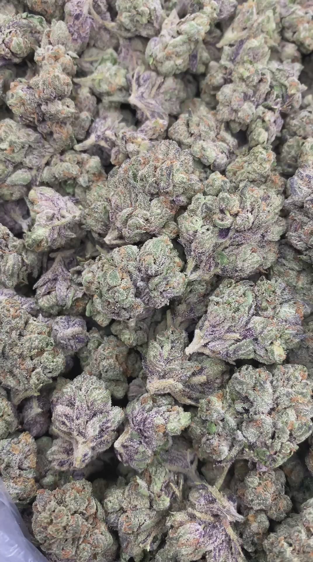 Sweet Tartz
