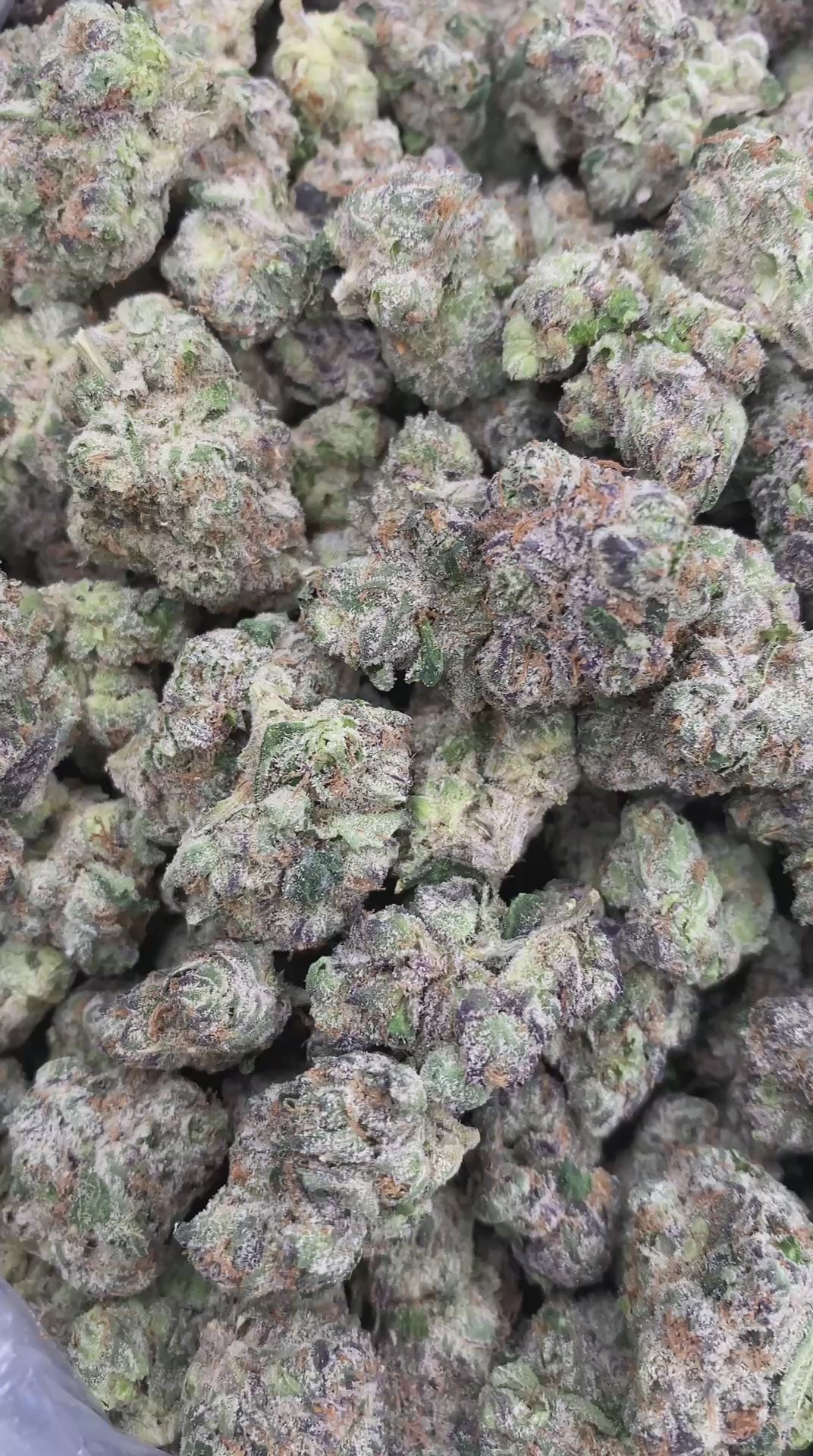 Watermelon Gumdrop