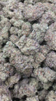 Northern Lights #5