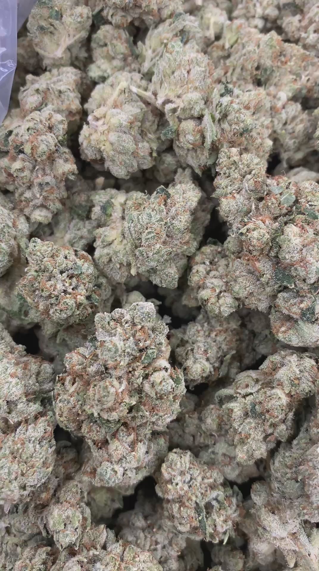 Skywalker OG