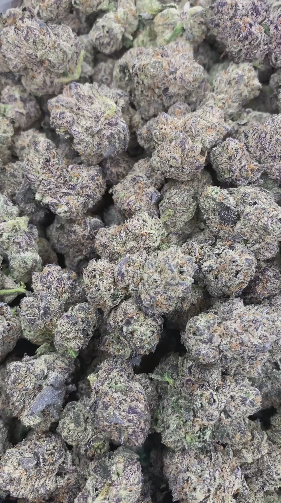 Candy Applez
